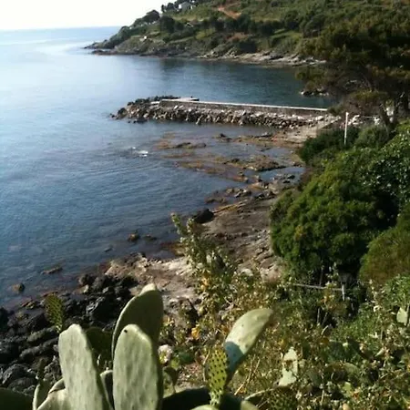 La Maison Du Pecheur A Porticciolo Cap-corse * Portocciolo